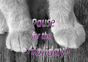 Pause for the Holidays Photograph by Kathi Mirto