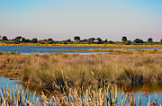 Peace On A St Marks Lagoon Photograph by DB Hayes