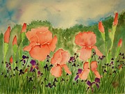 Peachy Watercolor Iris Painting by Barrie Stark