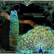 Peacock Pair on Tree Branch Tail Feathers Mixed Media by Audrey Jeanne Roberts