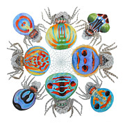 Toxic Tango II Peacock Spiders Painting by Lucy Arnold