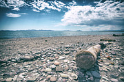 Pebbles and Driftwood Photograph by Becqi Sherman Pebbles and Driftwood Photograph by Becqi Sherman