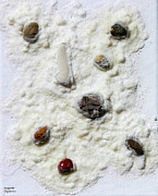 Pebbles in Snow Painting by Augusta Stylianou