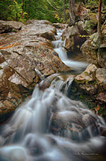 Pemigewasset Cascade 8378 Photograph by Dan Beauvais
