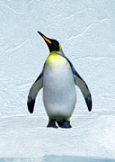 Penguin Digital Art by Steve Karol