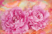 Peony Fiesta Photograph by Jill Love