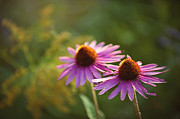 Perfect Imperfection Photograph by Jill Love