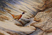 Pheasant Crossing Painting by Denise Harty
