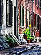 Philadelphia PA Street With Flower Pots Photograph by Susan Savad Philadelphia PA Street With Flower Pots Photograph by Susan Savad
