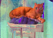 Phoenix Rescue Cat Love Mixed Media by Zsanan Studio