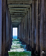 Pier - In The Box Photograph by Russ Harris