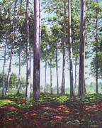 Pines in New Forest shade Painting by Martin Davey