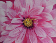 Pink Dahlia I Pastel by Carol Corliss