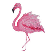 Pink Flamingo Painting by Jan Matson