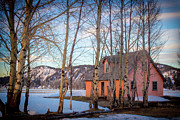 Pink House Photograph by Carla E