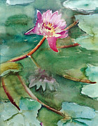 Pink Waterlilly Painting by Mafalda Cento
