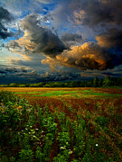 Places in the Heart Photograph by Phil Koch
