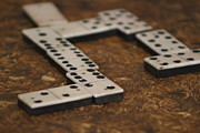Playing Games with Me Photograph Photograph by Colleen Cornelius