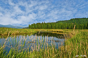 Plummer Creek Marsh Photograph by Jeff Goulden