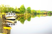 Pocomoke1 Photograph by Merle Grenz