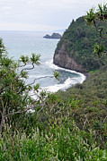 Polulu Valley Big Island Hawaii Photograph by Bruce Gourley