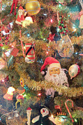 Portrait View Into A Beautiful Christmas Tree Photograph by James BO Insogna Portrait View Into A Beautiful Christmas Tree Photograph by James BO Insogna