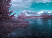 Post Flood Surreal Digital Art by Chriss Pagani