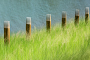 Posted Photograph by Deborah Hughes