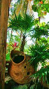 Pottery Ambergris Caye Belize Photograph by Waterdancer