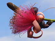 Powder Puff Blossom Photograph by Peggy King