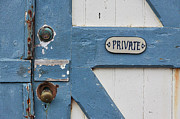 Private Photograph by Ana V Ramirez
