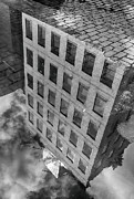 Puddle View Photograph by Cate Franklyn