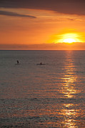 Puerto Vallarta Sunset Photograph by Sebastian Musial Puerto Vallarta Sunset Photograph by Sebastian Musial