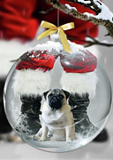 Pug and Santa Photograph by Jackson Pearson Pug and Santa Photograph by Jackson Pearson