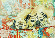 Pugs on a Chinese Print Sofa Painting by Joan Thewsey