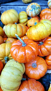 Pumpkin  Photograph by Yazid Ismail