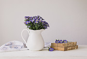 Purple Aster Still Life Photograph by Kim Hojnacki Purple Aster Still Life Photograph by Kim Hojnacki