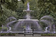 Purple Forsyth Fountain Photograph by Bradford Martin
