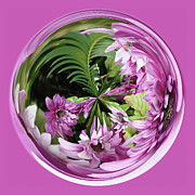 Purple Orb Photograph by Bill Barber