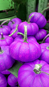Purple Pumpkin  Photograph by Yazid Ismail