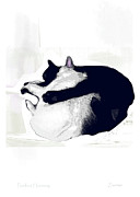 PurrFect Harmony Mixed Media by Zsanan Studio