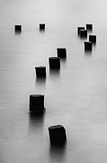 Question Everything Photograph by Az Jackson