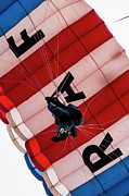 RAF Falcons Digital Art by Airpower Art