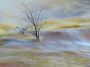 Raging River Digital Art by Kathleen Illes