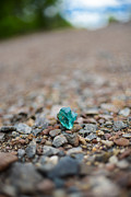 Trackside Treasure Photograph by Alex Blondeau