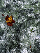 Rain again Photograph by Karen Smale