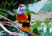 Rain Forrest Bird 1 Painting by Mas Art Studio