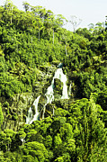 Rainforest rapids Photograph by Jorgo Photography Rainforest rapids Photograph by Jorgo Photography