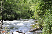 Rapids Ahead Photograph by Allen Nice-Webb