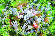 Reaching Digital Art by Lisa Yount